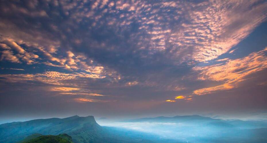 Forest Homestay, Chikmaglur 5
